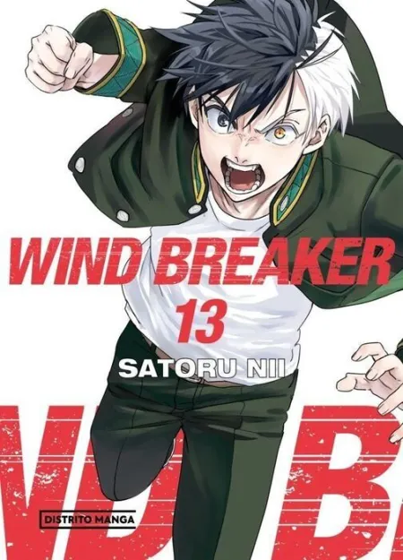 Wind Breaker 13 (Shônen)