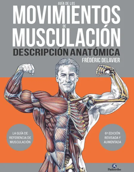 Guía de los Movimientos de Musculación. Descripción Anatómica