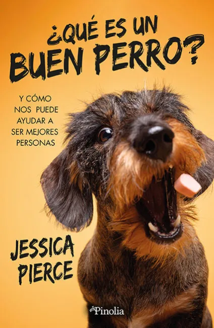 ¿Qué Es un Buen Perro?
