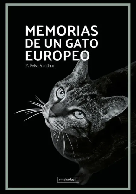 Memorias de un Gato Europeo