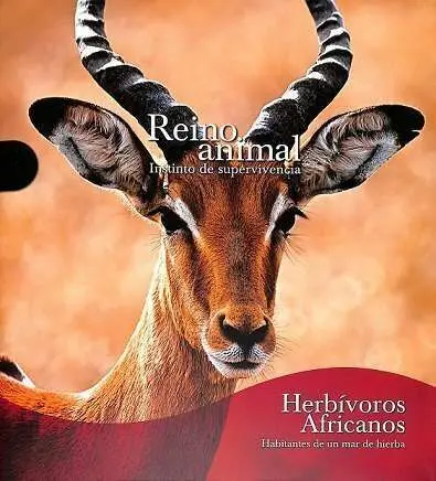 Hervivoros Africanos Reino Animal