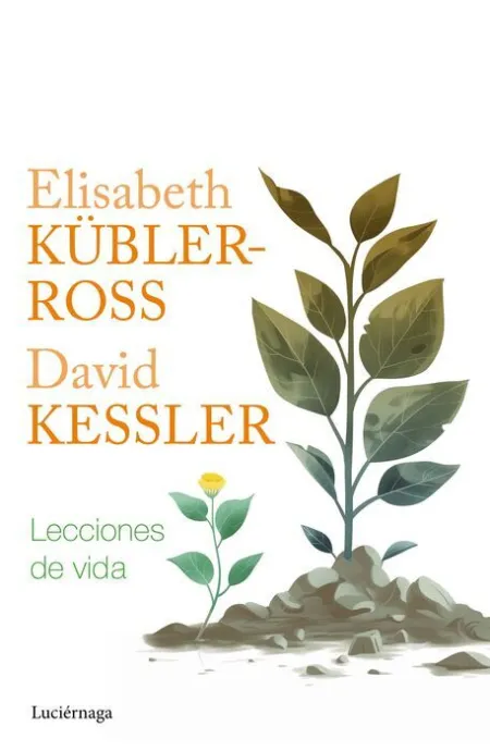 Lecciones de Vida