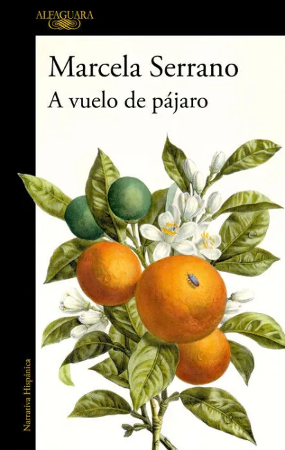 A Vuelo de Pájaro