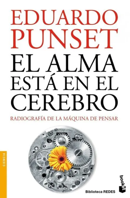 Alma esta en el Cerebro, el.