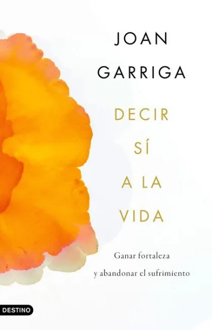 Decir sí a la Vida
