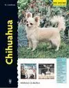 Chihuahua -Serie Excellence
