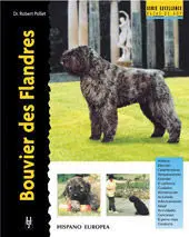 Bouvier Des Flandes