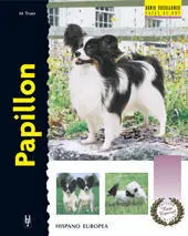 Papillon Excellence