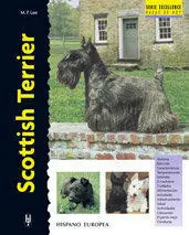 Scottish Terrier