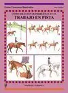 Como Solucionar Problemas en el Trabajo en Pista -Guias Ecuestres