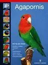 Agapornis