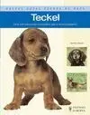 Teckel. Nuevas Guias. Perros de Raza