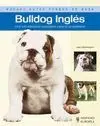 *** el Bulldog Ingles