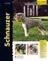 Schnauzer. Excellence. Razas de Hoy