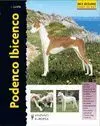 Podenco Ibicenco. Serie Excellence: Razas de Hoy