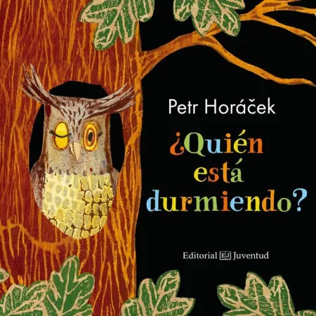 ¿Quien esta Durmiendo?