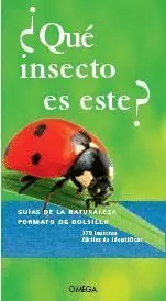 ¿Que Insecto Es Este?