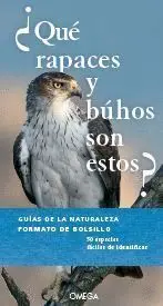 ¿Que Rapaces y Buhos Son Estos?