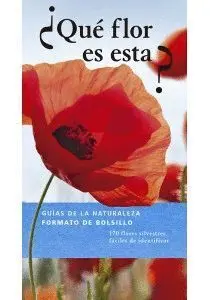 ¿Que Flor Es Esta?