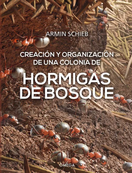 Hormigas de Bosque -Creacion y Organizacion de una Colonia