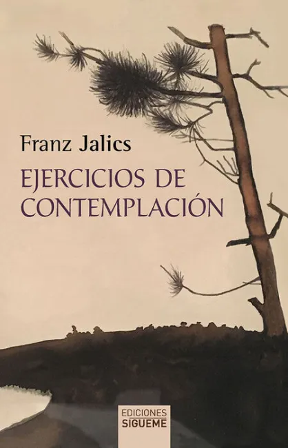 Ejercicios de Contemplación