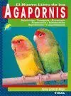 Agapornis -Animales Compañia Ref. 619-999