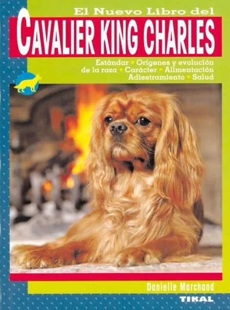 Cavalier King Charles