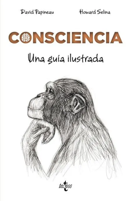 Consciencia. Una Guía Ilustrada