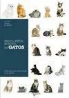 Enciclopedia Mundial de Gatos