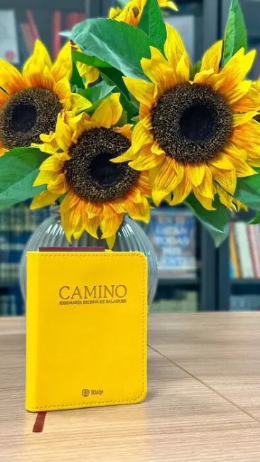 Camino (Bolsillo, Piel Sintética)