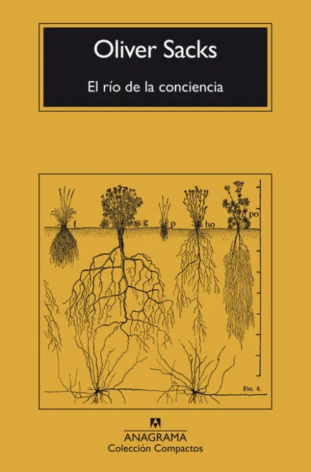 El Rio de la Conciencia