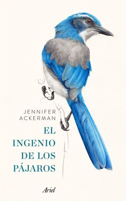 El Ingenio de los Pájaros (Estuche)