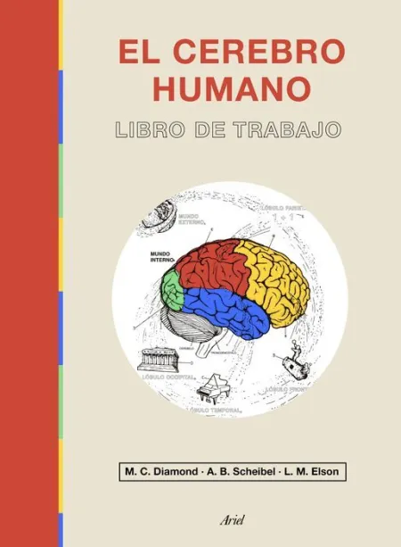 El Cerebro Humano