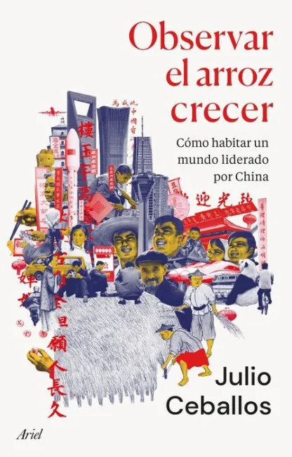 Observar el Arroz Crecer