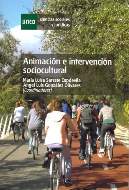 Animaciã?Â³N e Intervenciã?Â³N Sociocultural