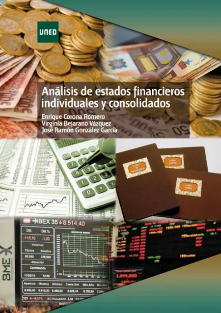 Anã?Â¡Lisis de Estados Financieros Individuales y Consolidados