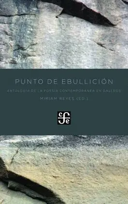 Punto de Ebullicion