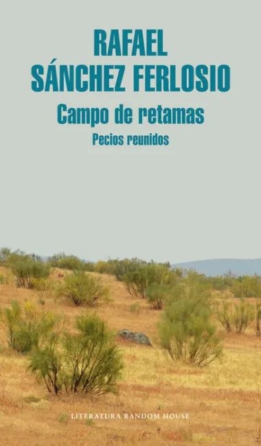 Campo de Retamas. Pecios Reunidos