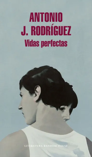 Vidas Perfectas