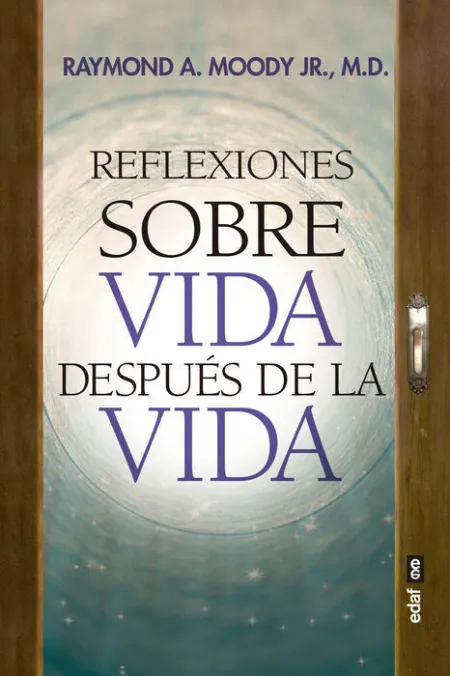 Reflexiones Sobre Vida Despues de la Vida