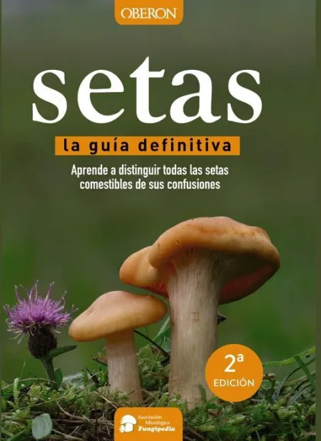 Setas -La Guia Definitiva