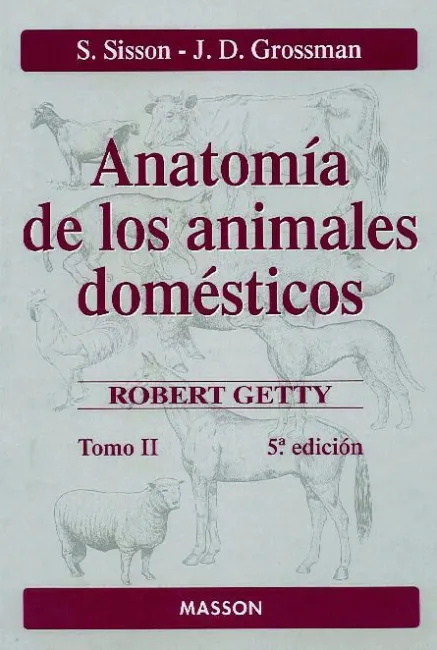 T2 Anatomia de los Animales Domesticos