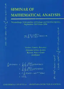 Seminar Of Mathematical Analysis (2003-2004)