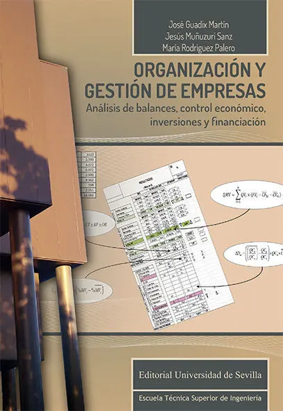 Organizaciã?Â³N y Gestiã?Â³N de Empresas