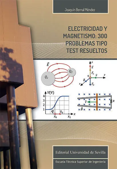 Electricidad y Magnetismo: 300 Problemas Tipo Test Resueltos
