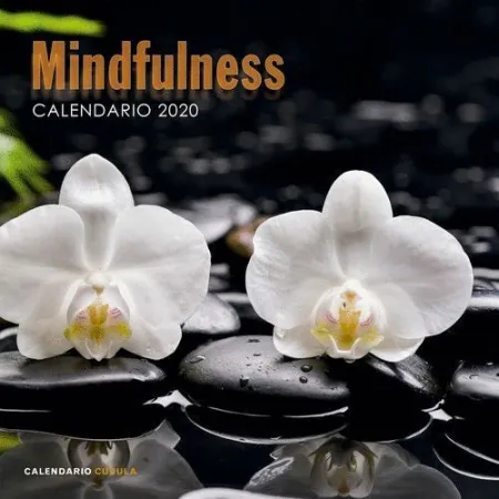 020 Mindfulness Calendario