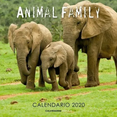 020 Animal Family Calendario