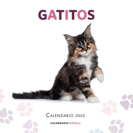 Calendario Pared 2025 Gatitos