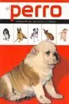 Perro - Caracteristicas,Educacion y Cuidados