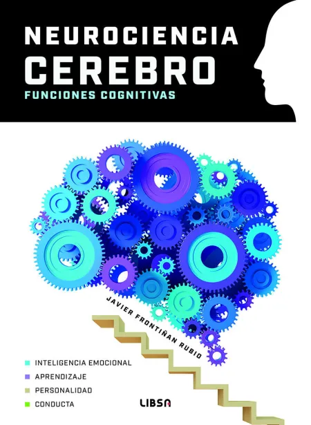 Neurociencia Cerebro Funciones Cognitivas